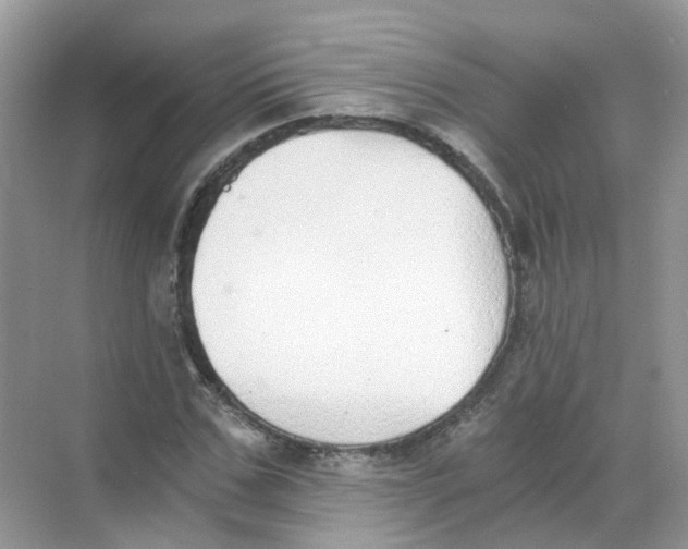 X0000068260971200605121816