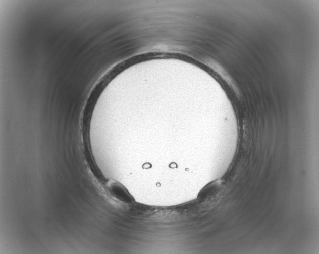 X0000068260972200605121816