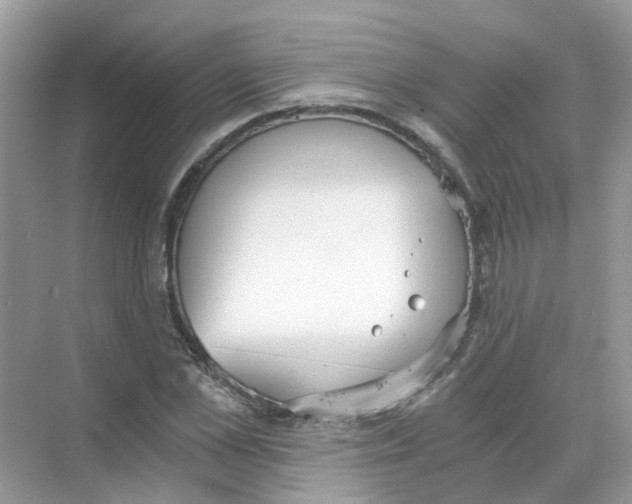 X0000068260973200605121816