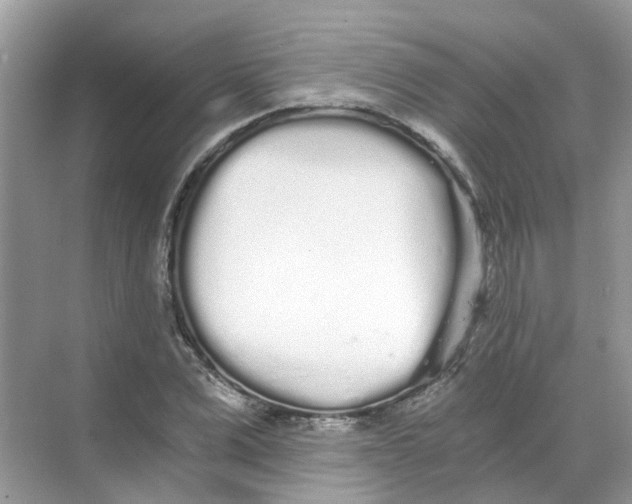 X0000068260975200605121816