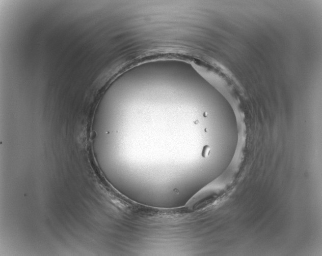 X0000068260977200605121816