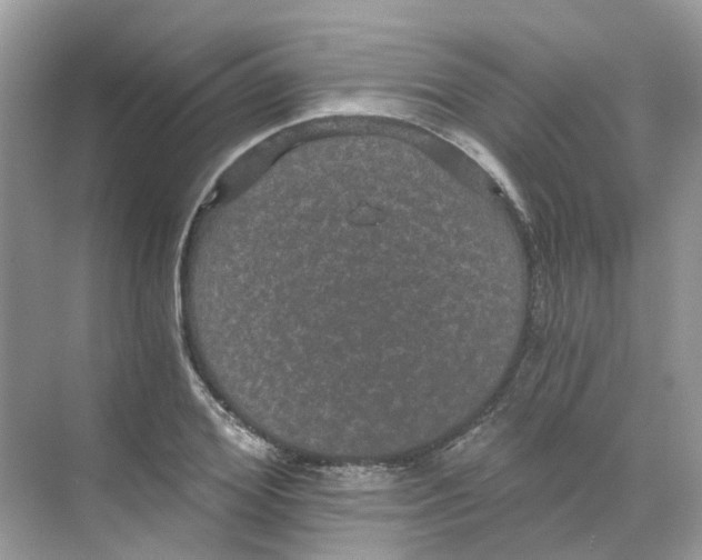 X0000068260980200605121816