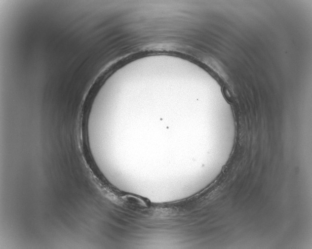 X0000068260984200605121815