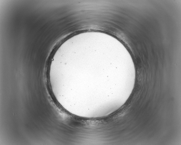 X0000068260987200605121815