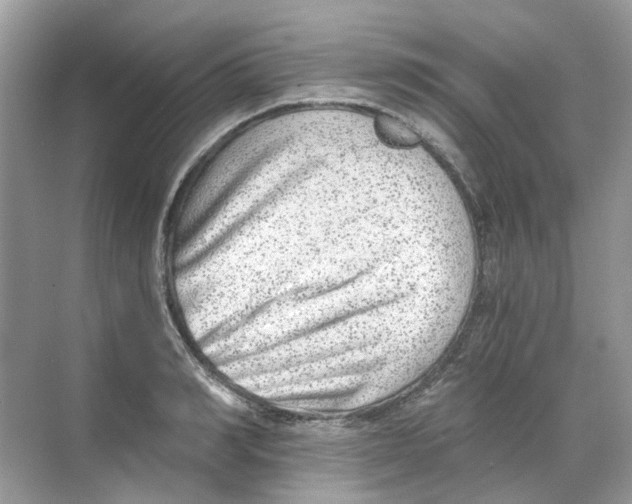 X0000068260990200605121815