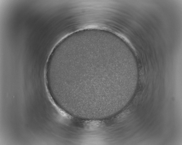 X0000068260991200605121815