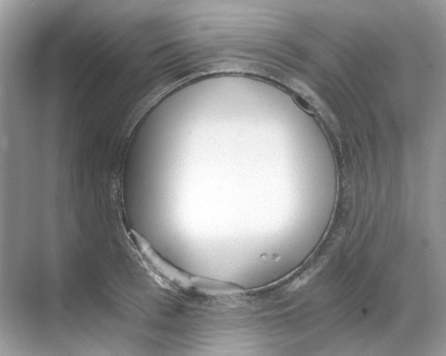 X0000068260993200605121815