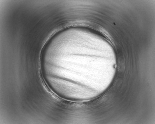 X0000068260994200605121815