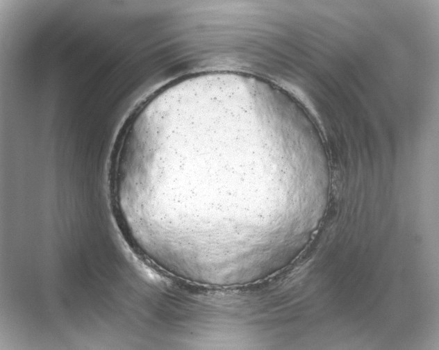 X0000068260995200605121815