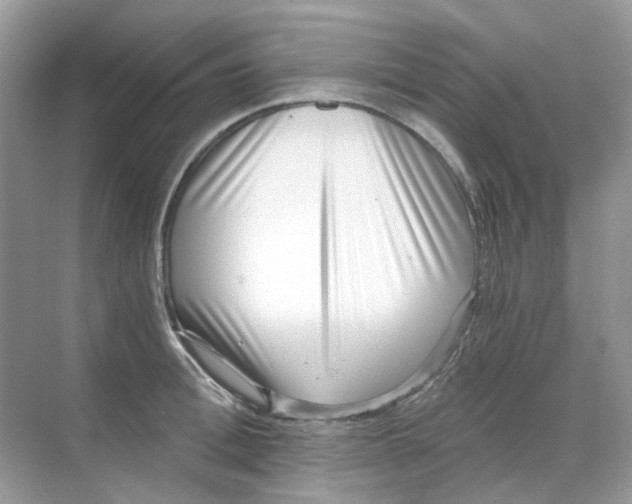 X0000068260996200605121815