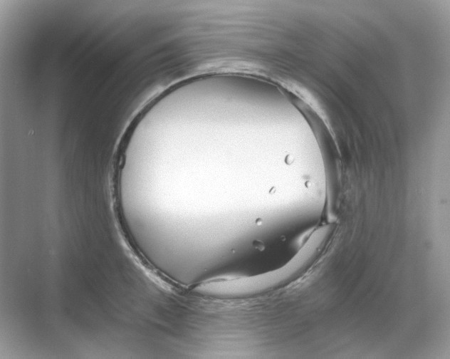 X0000068260997200605121815