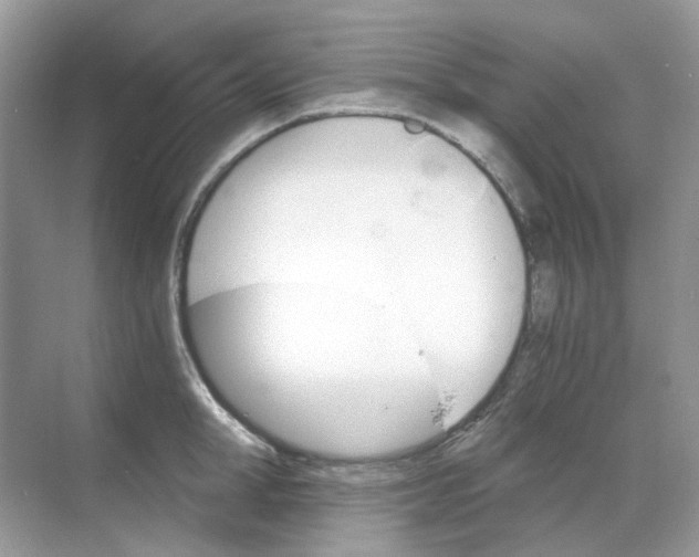 X0000068260998200605121815