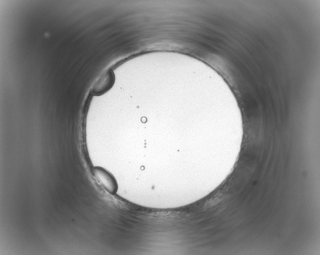 X0000068261000200605121815