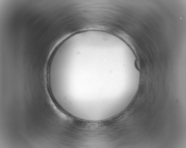 X0000068261003200605121815