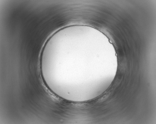 X0000068261004200605121815