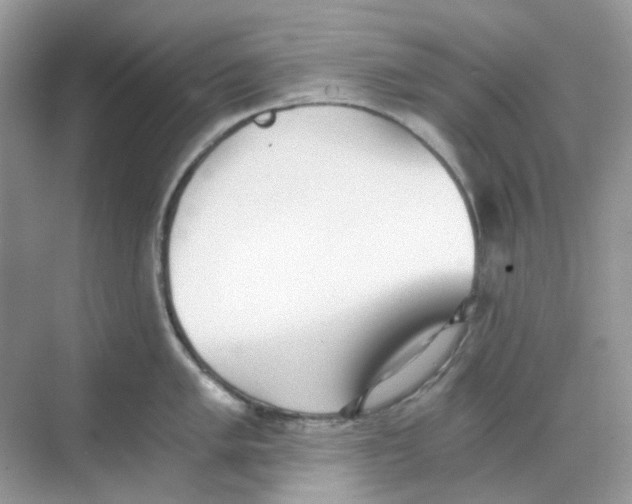 X0000068261005200605121815