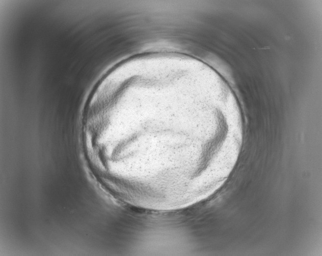 X0000068261008200605121815