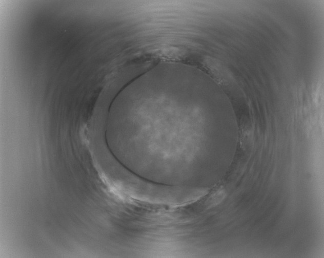 X0000068261010200605121814