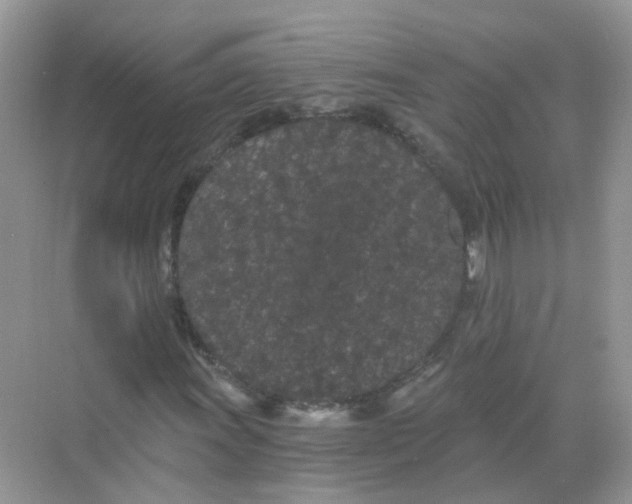 X0000068261011200605121814