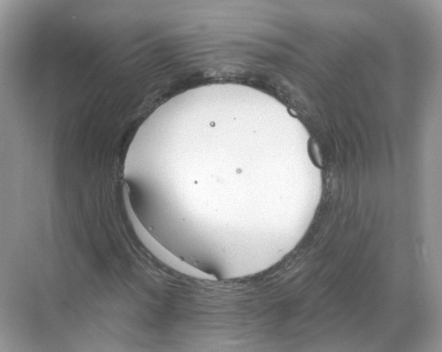 X0000068261012200605121814