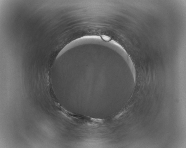 X0000068261013200605121814