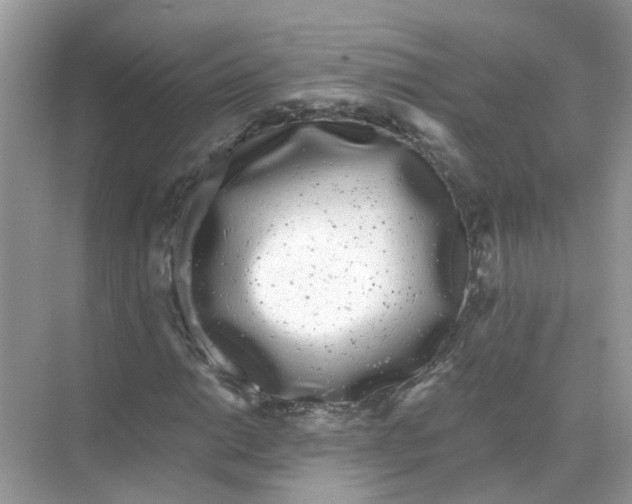 X0000068261014200605121814