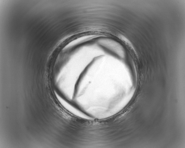 X0000068261019200605121814