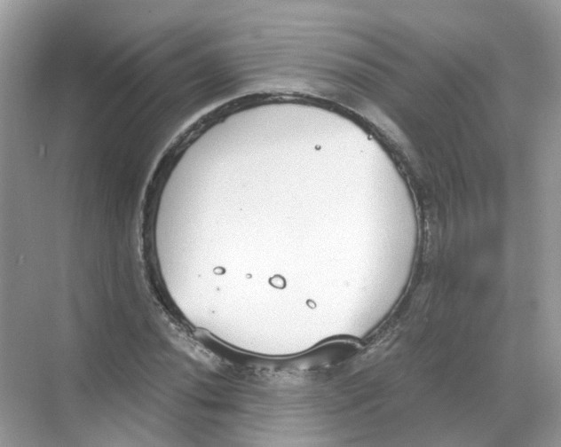 X0000068261020200605121814