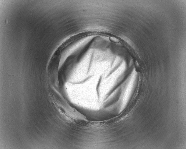 X0000068261022200605121814