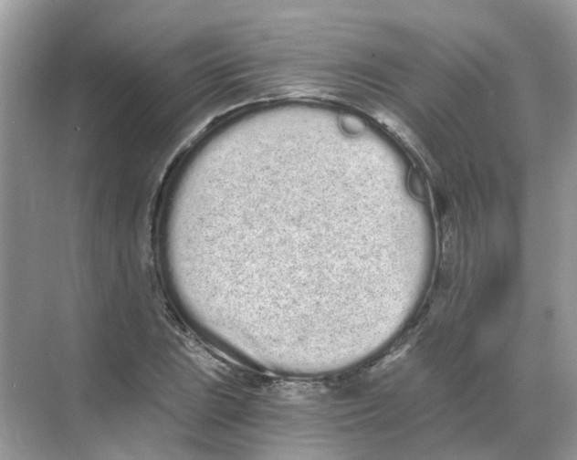 X0000068261023200605121814