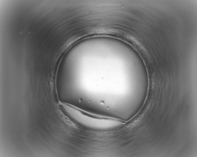 X0000068261025200605121815