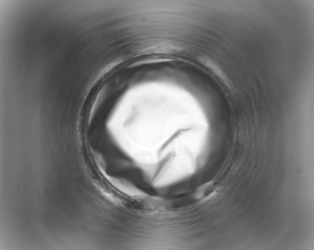 X0000068261026200605121815