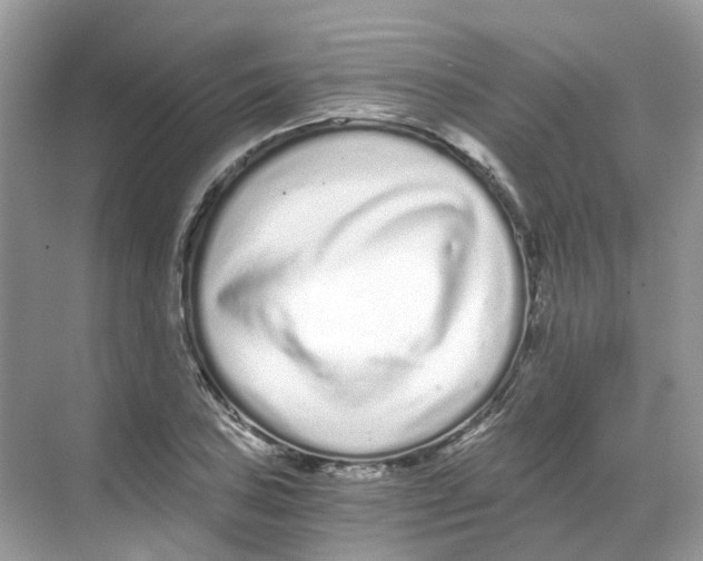 X0000068261027200605121815