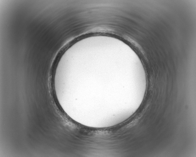 X0000068261029200605121815