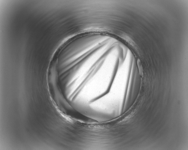 X0000068261030200605121815