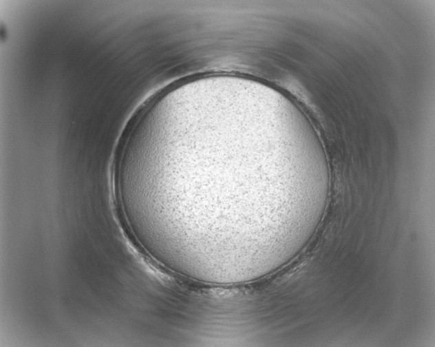 X0000068261032200605121815