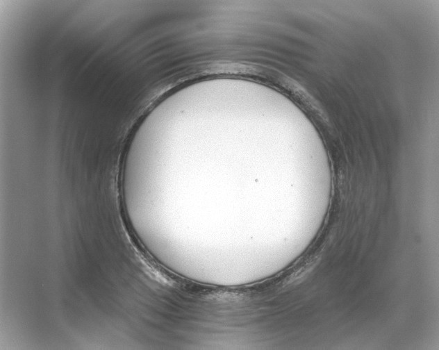 X0000068261033200605121815