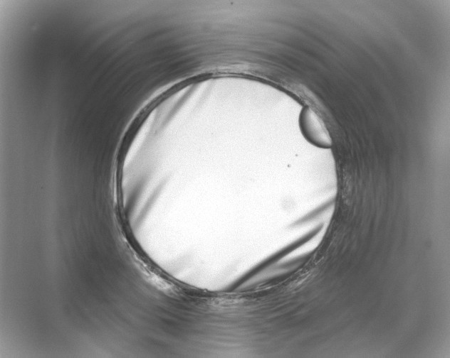 X0000068261036200605121815