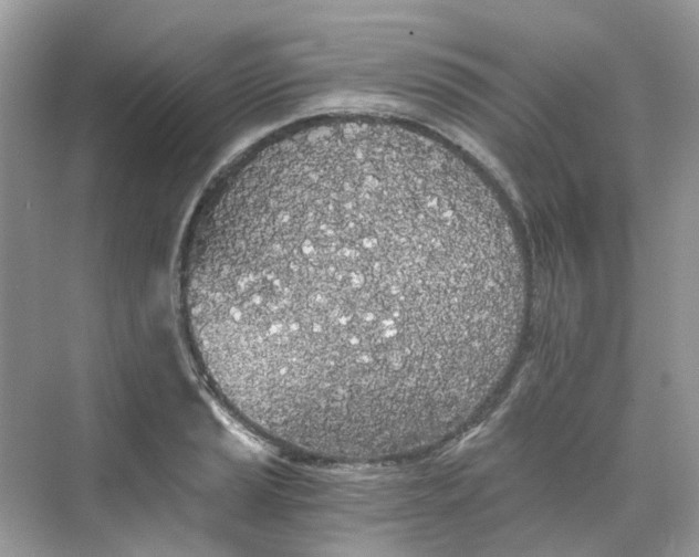 X0000068261037200605121815