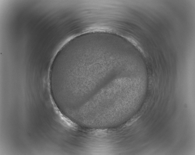 X0000068261038200605121815