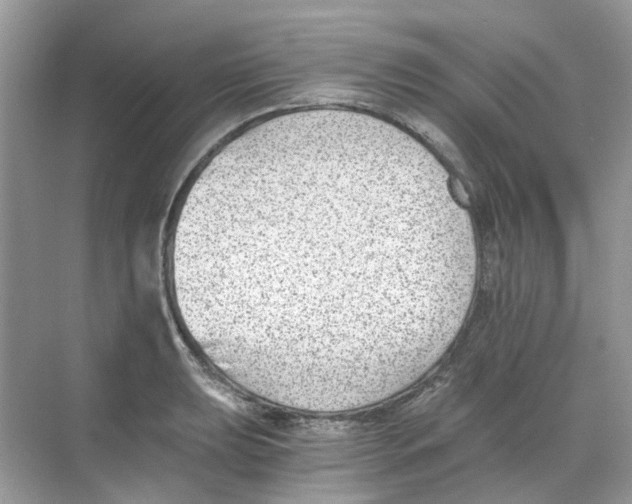 X0000068261039200605121815