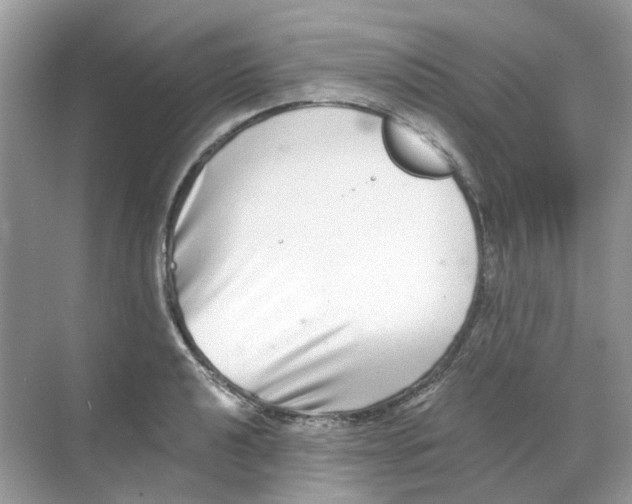 X0000068261040200605121815