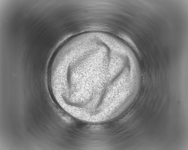 X0000068261043200605121815