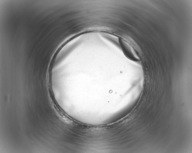 X0000068261044200605121815