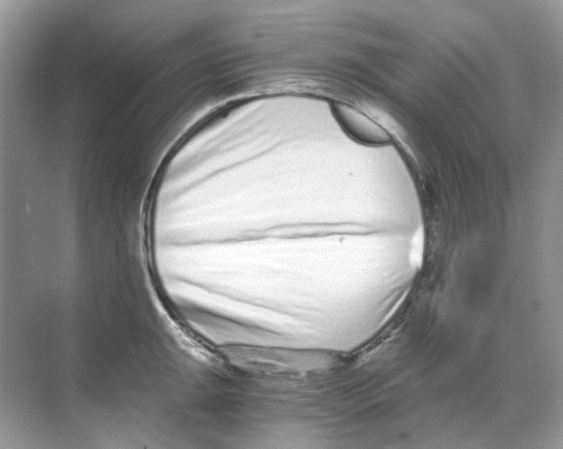 X0000068261047200605121815