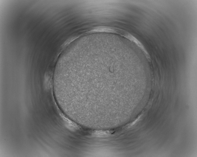 X0000068261049200605121815