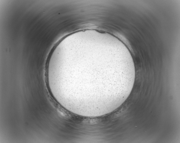 X0000068261051200605121815