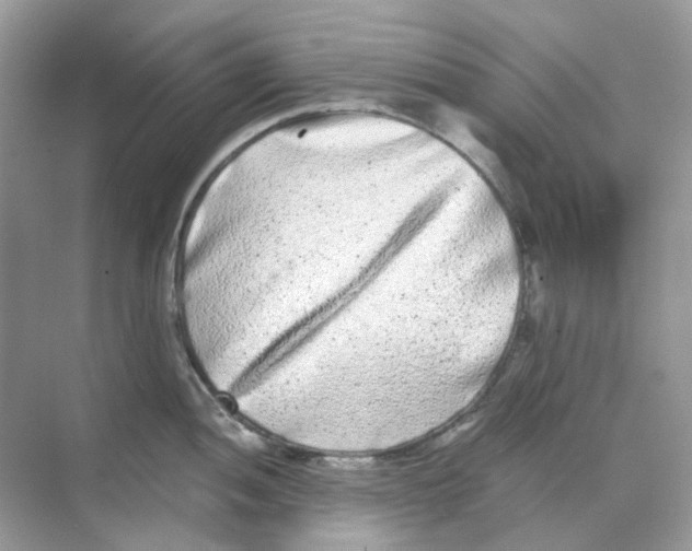 X0000068261052200605121815