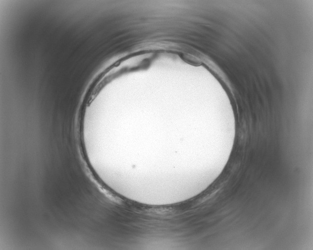 X0000068261053200605121815