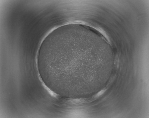 X0000068261054200605121815